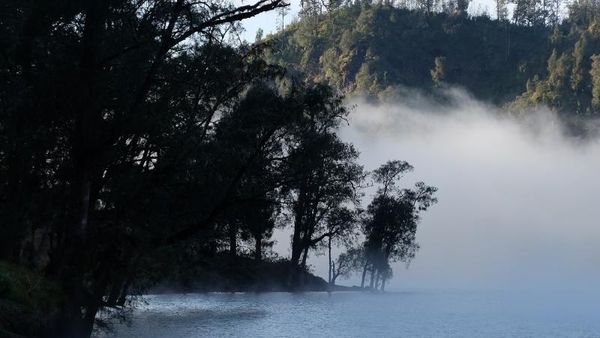 Sudah Lihat Kampung Warna-warni Pendaki di Ranu Kumbolo?