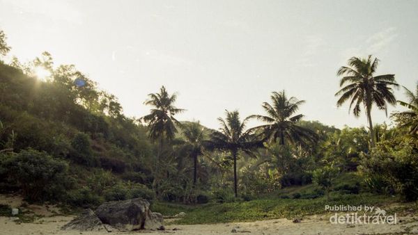 Tak Ada Keraguan akan Cantiknya Pantai Butuh Gunungkidul Jogja