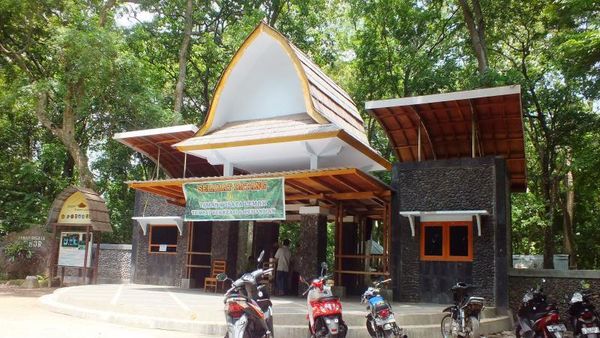 Tak Hanya Pantai, Lombok Punya Hutan Lemor yang Asri