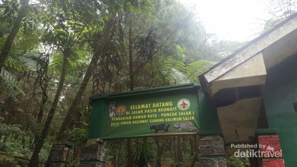Tak Jauh dari Jakarta, Ada Kawah Ratu yang Asyik Buat Kemping