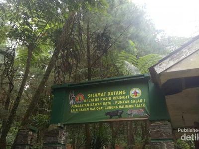 Tak Jauh dari Jakarta, Ada Kawah Ratu yang Asyik Buat Kemping