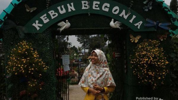 Taman Bunga Indah di Lembang, Bikin Tak mau Pulang
