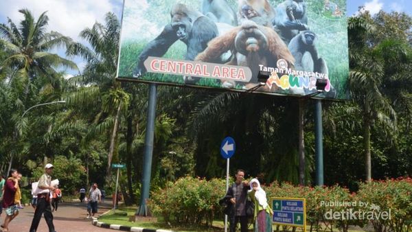 Tamasya Libur Sekolah ke Kebun Binatang Ragunan