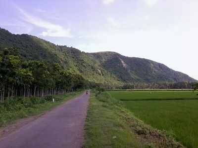 Tanjung Papuma