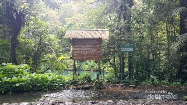 Telaga Misterius di Kaki Gunung Gede
