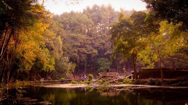 Telaga Remis yang Romantis