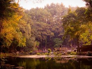 Telaga Remis yang Romantis