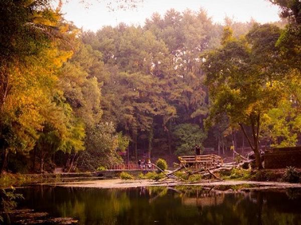 Telaga Remis yang Romantis