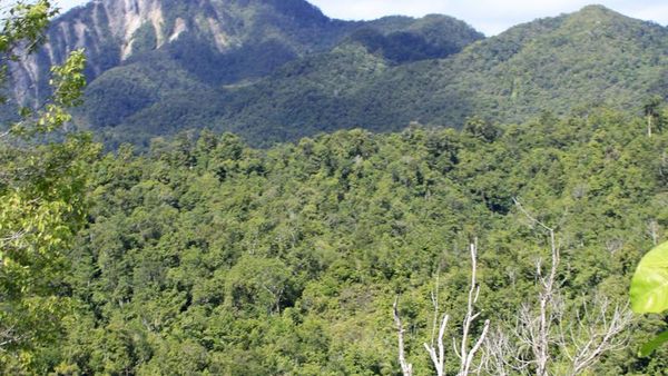 Telaga Sarawandori, Sudah Indah, Banyak Warna Pula!
