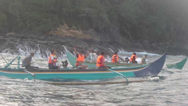 Teluk Kiluan, Habitat Terbesar Lumba-Lumba di Dunia