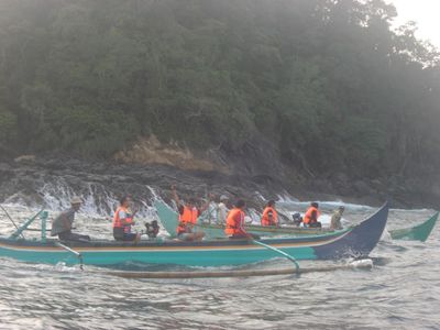 Teluk Kiluan, Habitat Terbesar Lumba-Lumba di Dunia