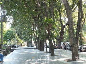 Tempat Piknik Asik di Tengah Kota Denpasar