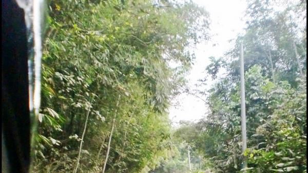Ternyata, Lombok Punya Jerman!
