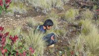 Top Of Lawu