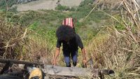 Unik! Ada Penjual Cendol di Puncak Gunung Mandiangin