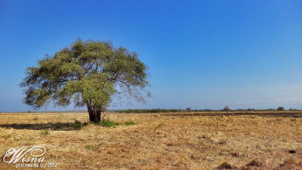 Wajah Cantik Alam Jawa Timur