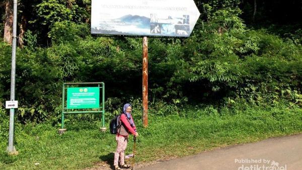 Weekend Ini, Yuk Jelajahi Hutan Gunung Halimun