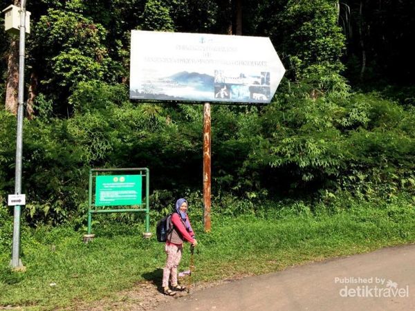 Weekend Ini, Yuk Jelajahi Hutan Gunung Halimun
