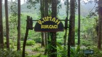 Weekend ke Mana? Purbalingga Punya Kampung Hobbit