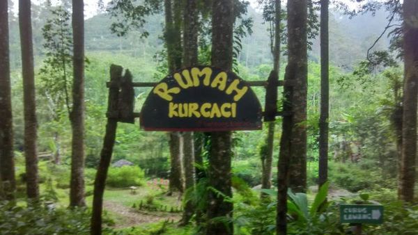 Weekend ke Mana? Purbalingga Punya Kampung Hobbit