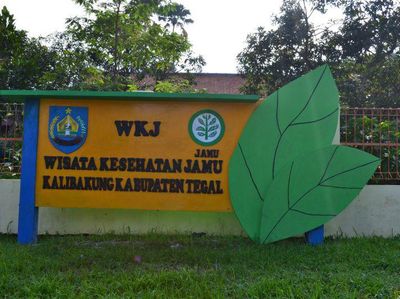 Yang Baru dari Tegal: Wisata Jamu Kalibakung