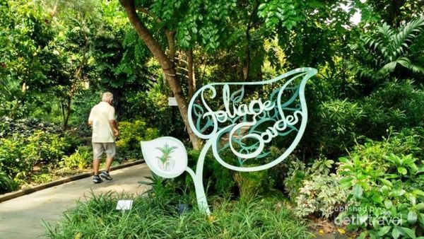 Yang Segar di Tengah Kota Singapura, Singapore Botanic Gardens