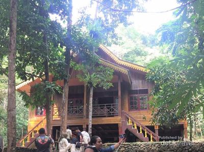 Yuk Berpetualang ke Camp WWF Lewat Sungai Subayang!