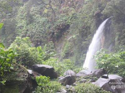 Yuk Habiskan Weekend di Gunung Gede Pangrango