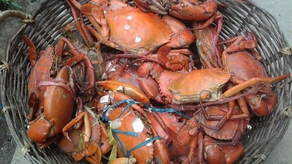 Yuk Liburan ke Tarakan