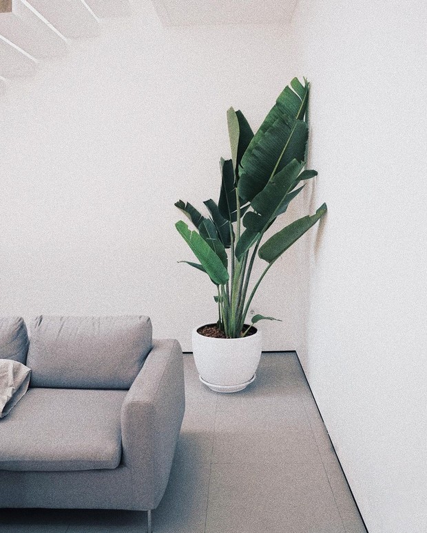 n Inspirasi Rumah Minimalist Serba Putih ala Twins Rahajeng