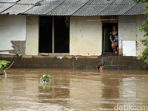 BPBD DKI: 150 RT Terdampak Banjir, 1.029 Warga Mengungsi