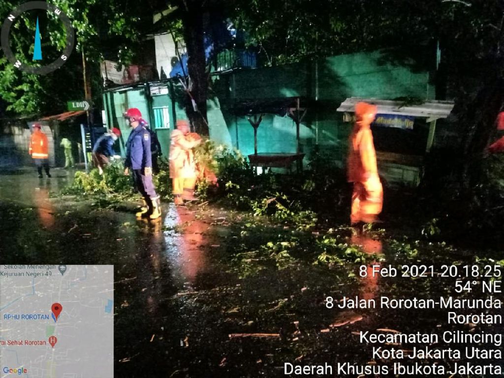 Pohon Tumbang di Beberapa Lokasi di Jakarta Saat Hujan Disertai Angin