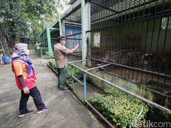 Segera Dibuka Lagi, Taman Jurug Ganti Nama Jadi Solo Safari