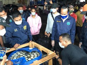 6 Drum Dibongkar Petugas, Isinya 450 Kilogram Ganja
