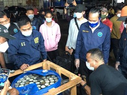BNN Bongkar Gudang 450 Kg Ganja Lemang di Parung Bogor