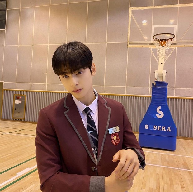 cha eun woo