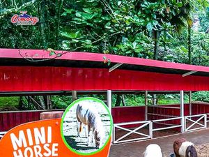 Bertemu Hewan-Hewan Menggemaskan di Cimory Riverside Puncak