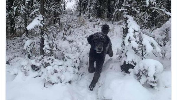 Hati-hati Mata Terkecoh, Ini Foto Fenomena Pareidolia