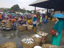 Dampak Banjir, Pasokan Ikan Air Tawar di Lamongan Turun 30%