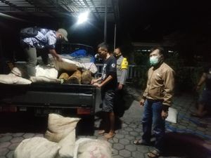 Pembalak Liar di Ponorogo Diringkus, Curi Kayu Bermodus Ditutupi Karung Jerami Pembalak Liar di Ponorogo Diringkus, Curi Kayu Bermodus Ditutupi Karung Jerami