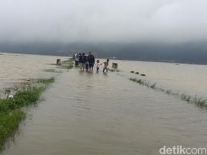 195 Ha Sawah Terendam Banjir, Sungai Brukah Banjarnegara Perlu Dinormalisasi