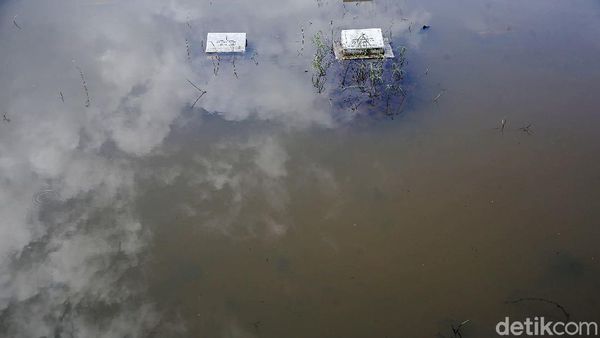 Sejumlah Makam di TPU Tanah Kusir Terendam Banjir