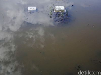 Sejumlah Makam di TPU Tanah Kusir Terendam Banjir