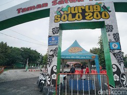 Hore! Taman Satwa Jurug Solo Bakal Dipercantik dan Bebas Kerangkeng