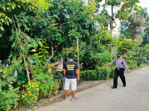 Warga Ngawi Tewas Tersengat Listrik Saat Potong Dahan Pohon
