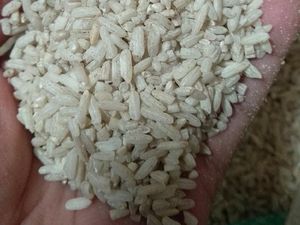 Warga Tambora Jakbar Keluhkan Kualitas Beras Bansos: Banyak Kutu-Kerikil