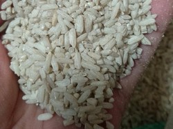 Warga Tambora Jakbar Keluhkan Kualitas Beras Bansos: Banyak Kutu-Kerikil