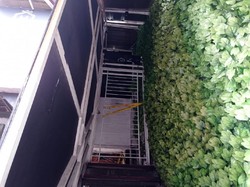 Satpol PP DKI Tutup Permanen Griya Pijat di Jaksel: Ada Prostitusi