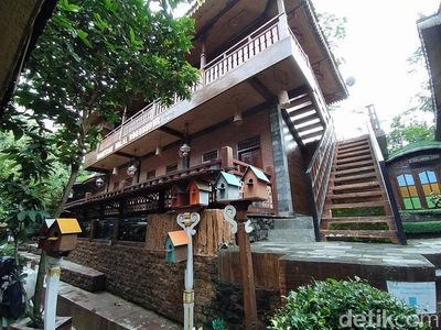 Homestay Borobudur Halal dan Terjangkau, Bisa Buat Backpacker