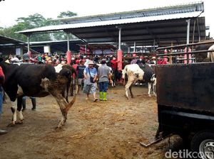 Polda Jateng Sebut Belum Ada Tersangka Terkait Korupsi Pasar Hewan Boyolali